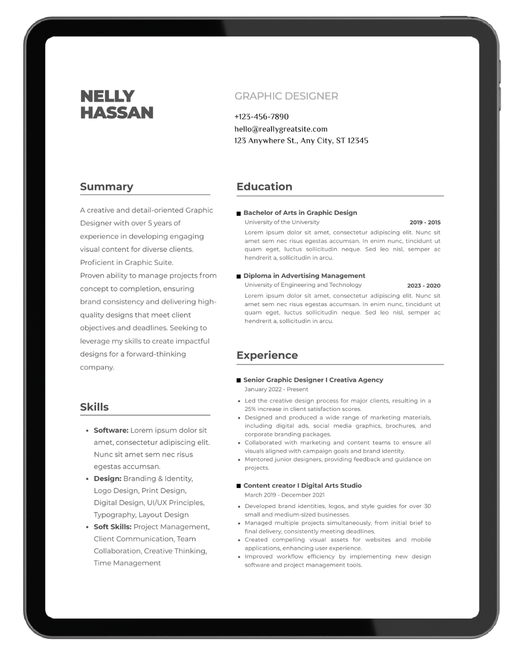 Professional resume example